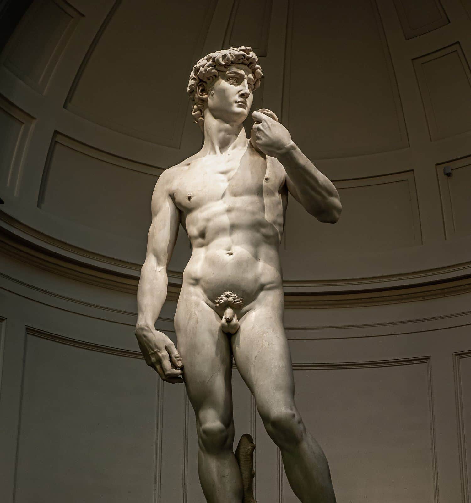 David - Michelangelo Buonarroti in florence academy