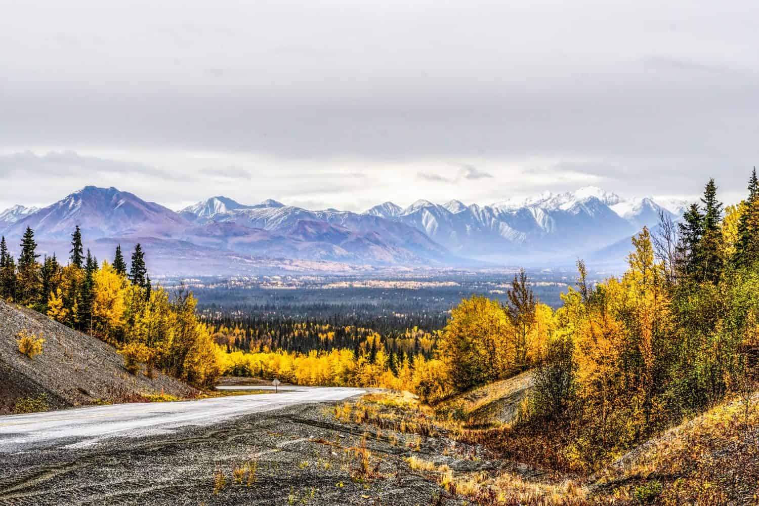 Snow Capped Mentasta Mountains And Fall Colored Forest Seen From The Tok Cutoff In Alaska