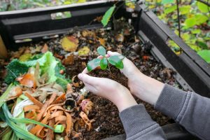 8 Great Homemade Plant Fertilizers That Actually Work photo