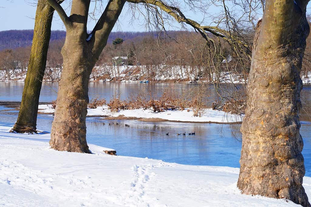 Winter view of the Delaware River connecting Bucks County, Pennsylvania, and Hunterdon County, New Jersey in Washington Crossing