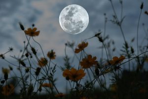 March Full Moon: Discover the Origin and Meaning of the Worm Moon Picture