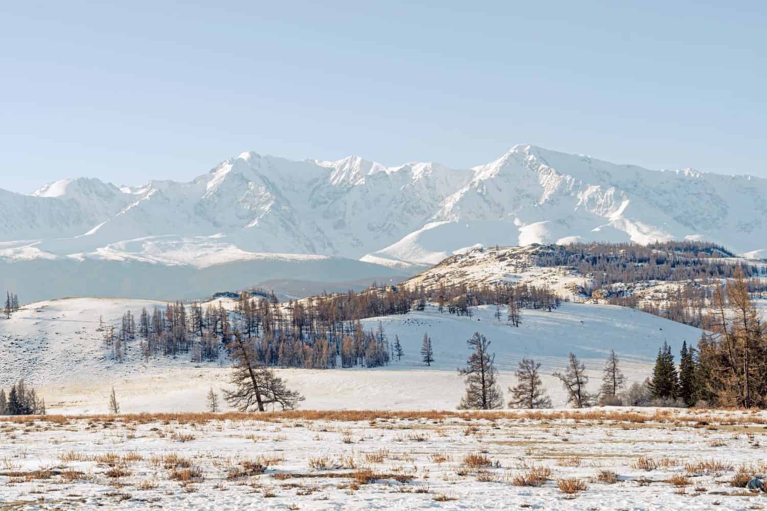 beautiful snowy landscape with mountains in the background. Steppe landscape of the Altai mountains or Mongolia. Severe frost.