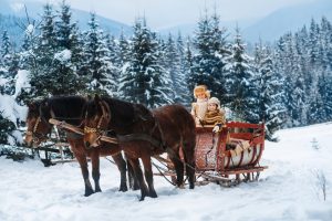 Discover 11 Best Locations for Horse-Drawn Sleigh Rides in the United States Picture