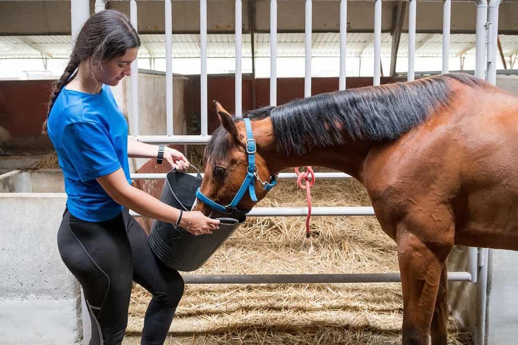 What Is Equine Therapy? The Special Connection Between Horses and ...