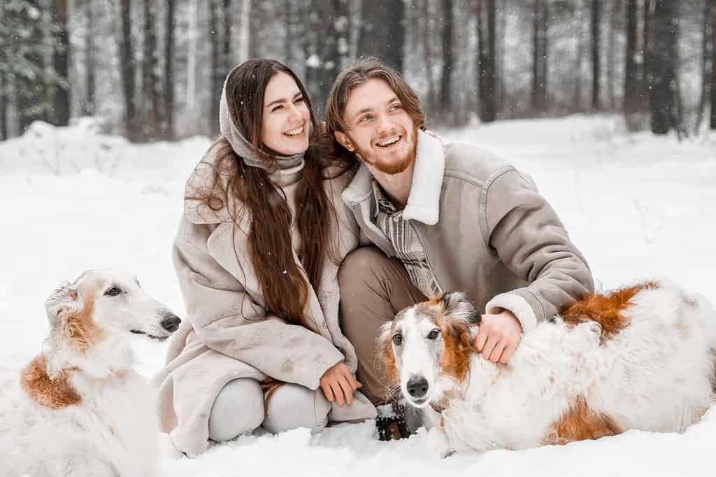 Love romantic young couple girl, guy in snowy cold winter forest walking with pet, dog of hunting breed russian borzoi. Sighthound, wolfhound owner. Having fun, laughing. Stylish fur coat, woolen hat.