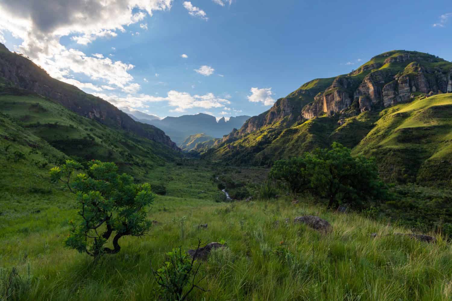 Green valley in the mountain Drakensberg South Africa