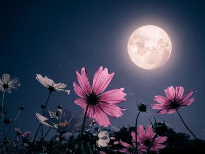 A 4 Tips for a Successful Full Moon Release