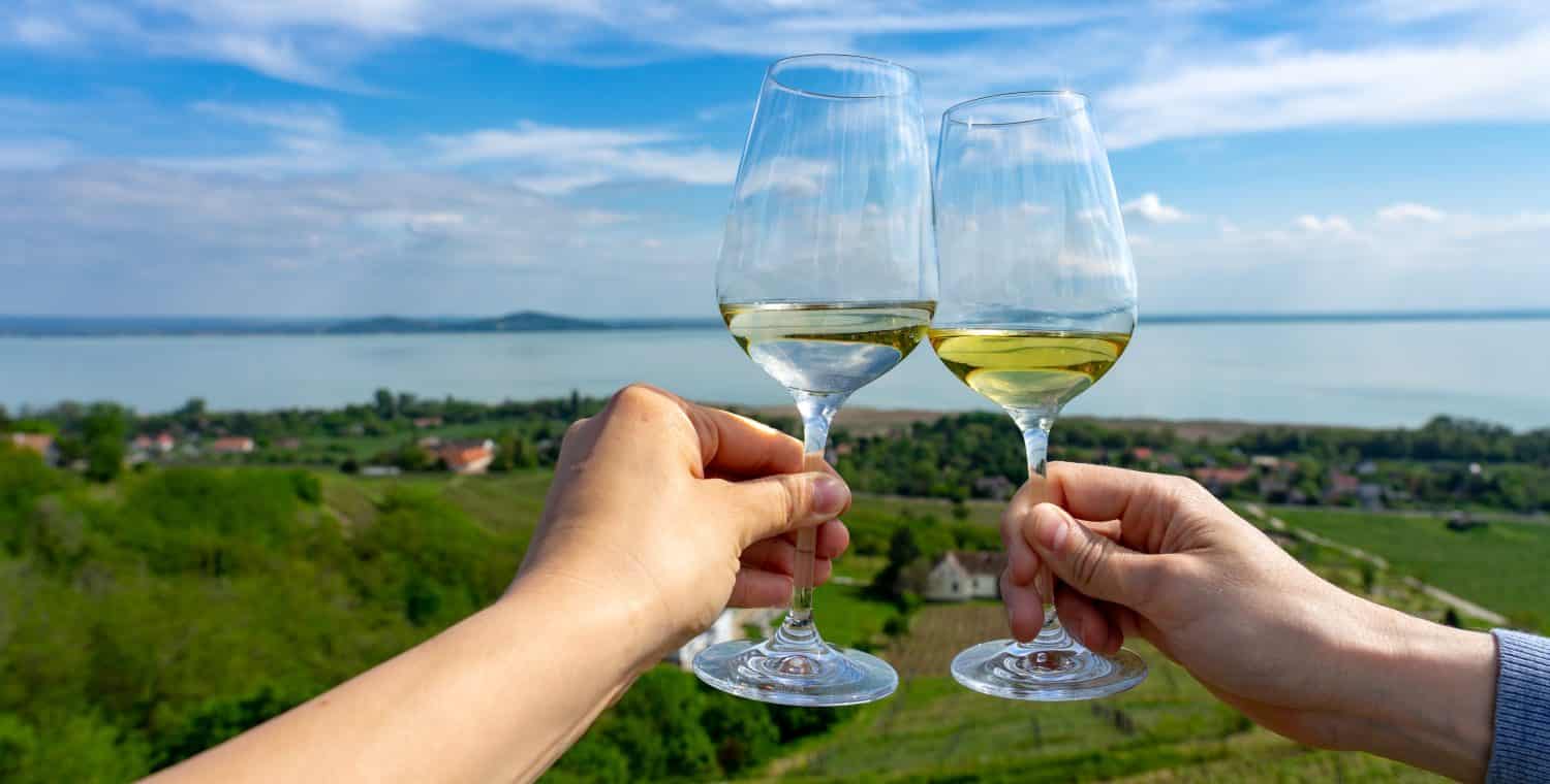 romantic celebratory toast with wine glasses in a Vineyard wine garden at Lake Balaton in Baracsony Hungray with beautiful view panoramic .