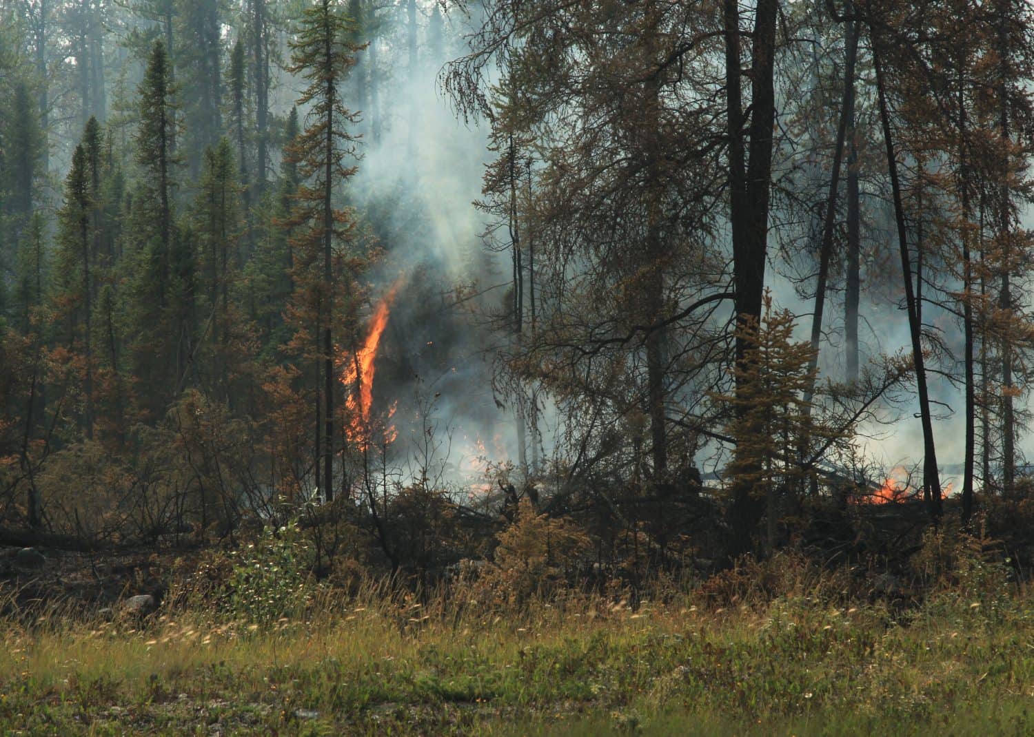 Wildfire near Yellowknife, NWT, Canada