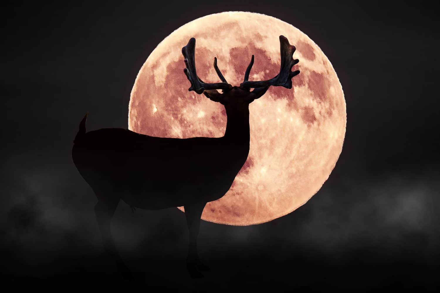 Silhouette deer on the background of red moon
