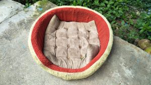 6 Simple Steps to Take to Properly Wash and Clean a Dog Bed Picture