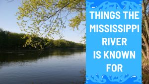#15 Things The Mississippi River Is Known For Picture