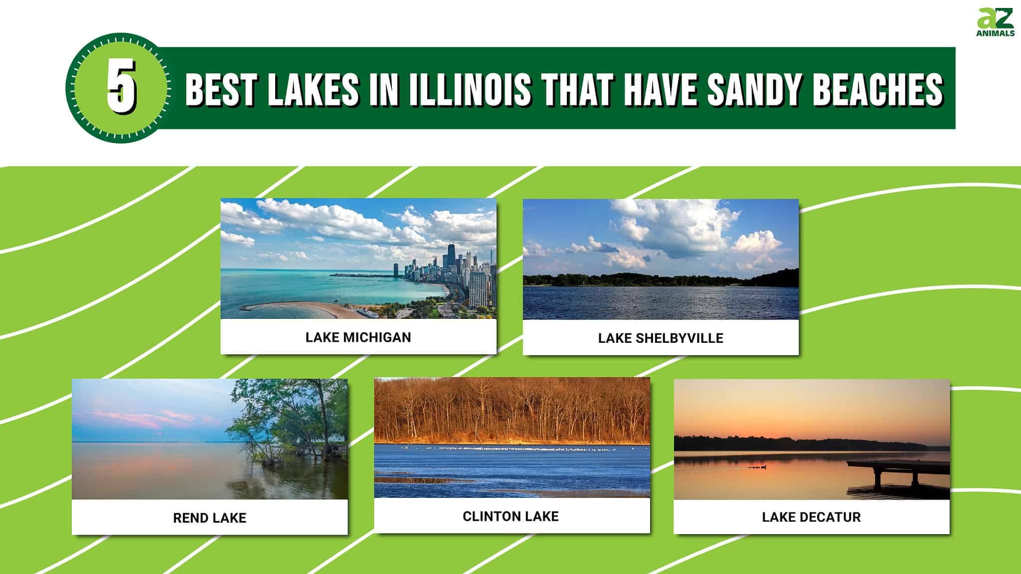 The 5 Best Lakes in Illinois That Have Sandy Beaches AZ Animals