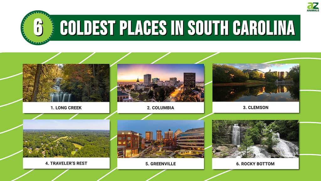 6 Coldest Places in South Carolina