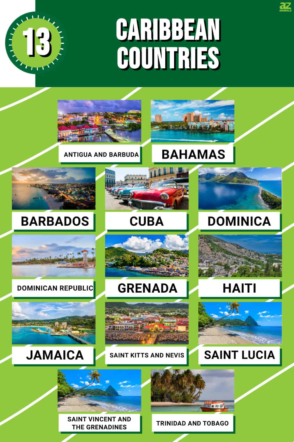 The 13 Caribbean Countries In 2024 A Z Animals   2fb083f6bfed33d1437b5557f52e7623524348fe 