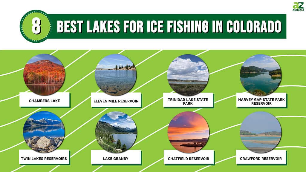 8 Best Lakes for Ice Fishing in Colorado