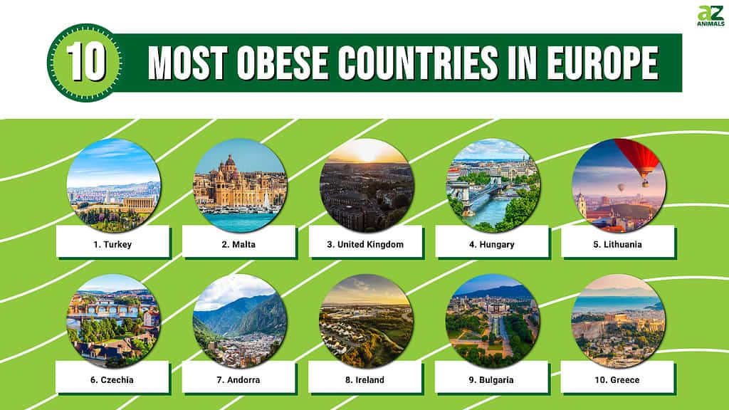 10 Most Obese Countries in Europe