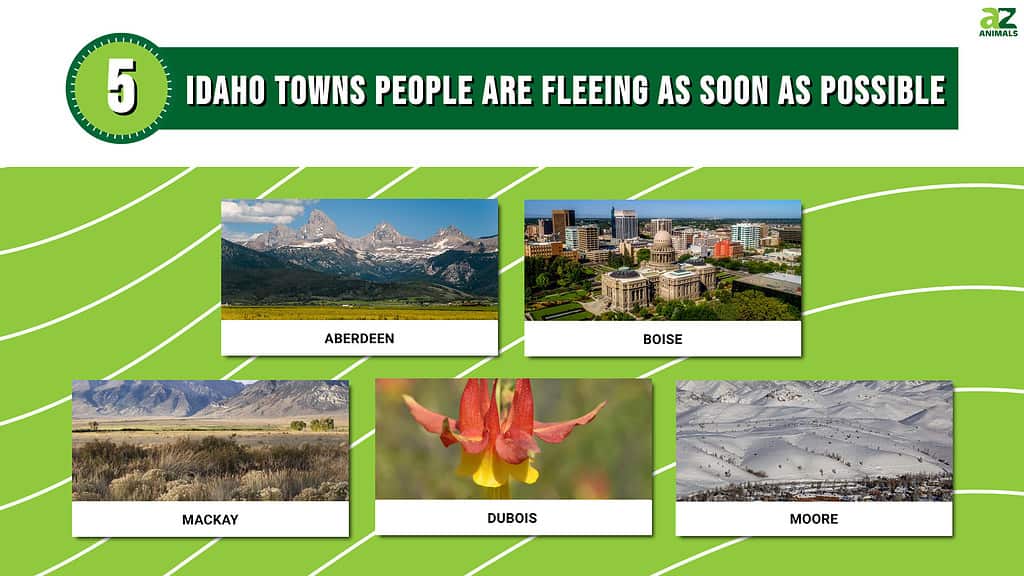 Idaho Towns People Are Fleeing As Soon As Possible