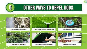 7 Plants That Repel and Keep Dogs Out of Your Yard - A-Z Animals