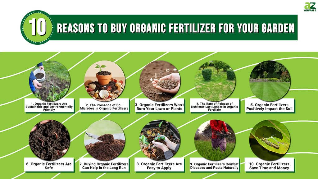 10 Reasons to Buy Organic Fertilizer for Your Garden