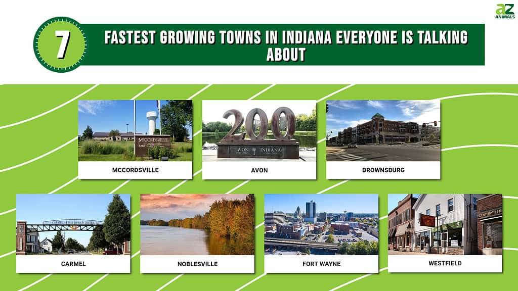 Fastest Growing Towns in Indiana Everyone Is Talking About