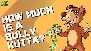 Bully Kutta Prices in 2024: Purchase Cost, Vet Bills, and More! Picture