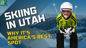 The Top 6 Reasons Utah Has the Best Skiing in the Country Picture