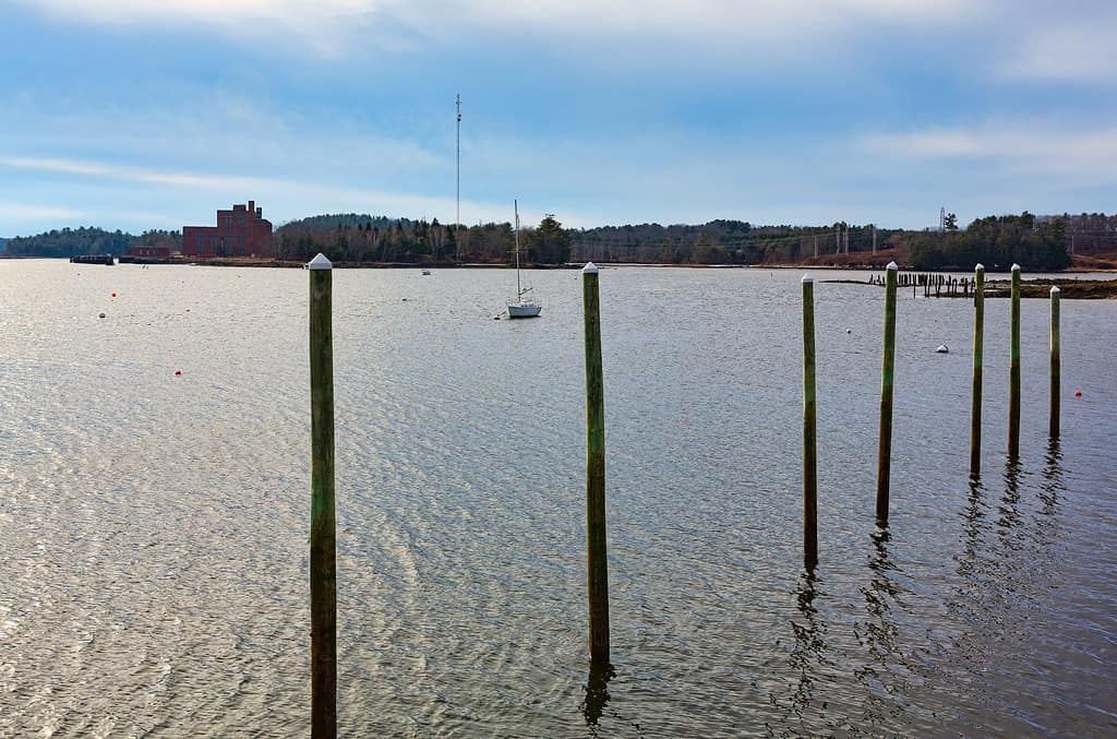 Old wood pilings with a sailboat in the distance