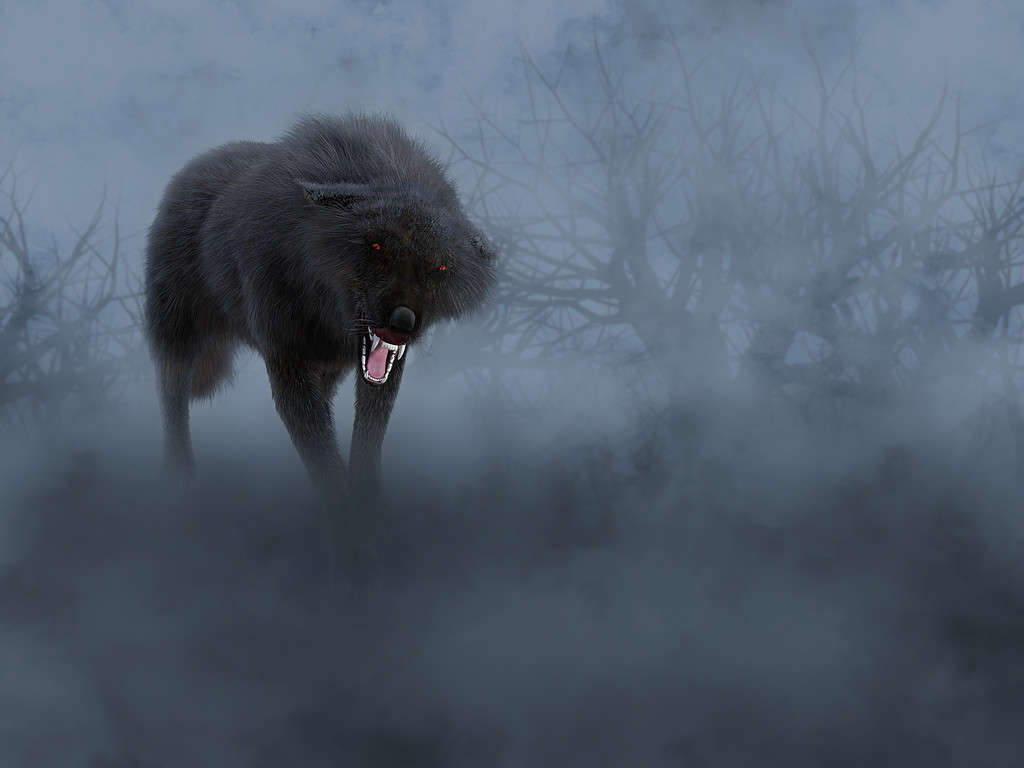 3D rendering of a black wolf with glowing red eyes.