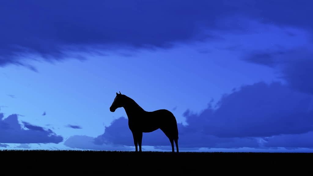 Lonely Horse at Night 3D Rendering