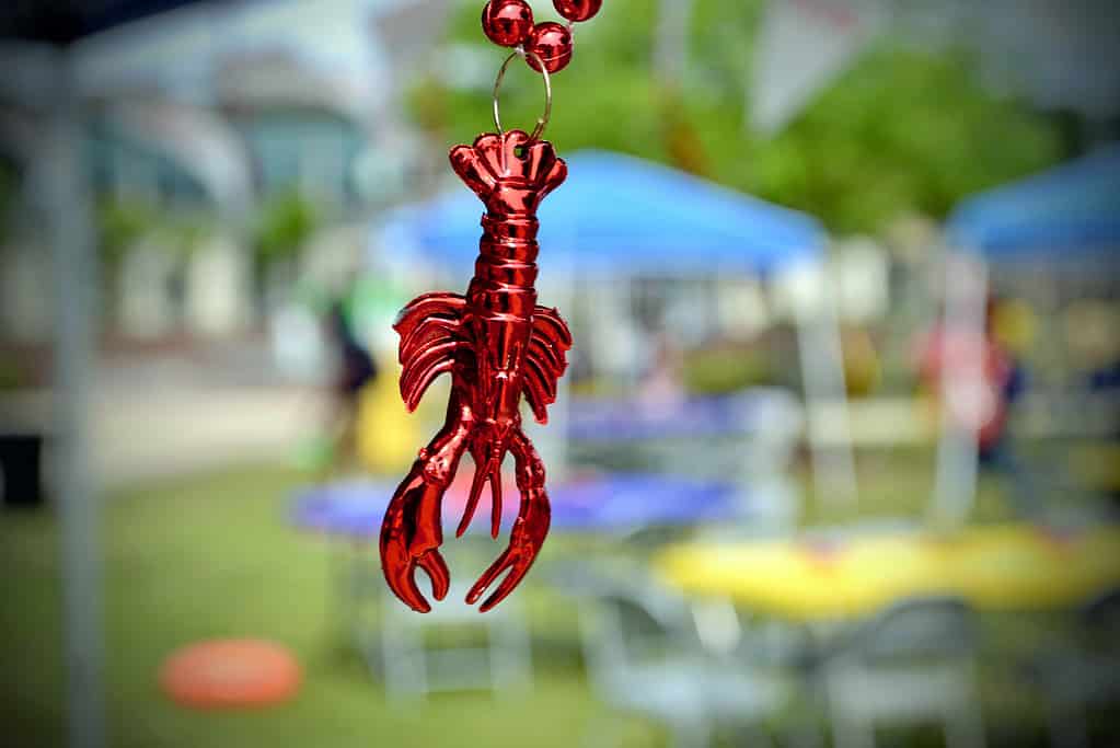 Crawfish Market Prices in 2024 What to Expect When Buying AZ Animals