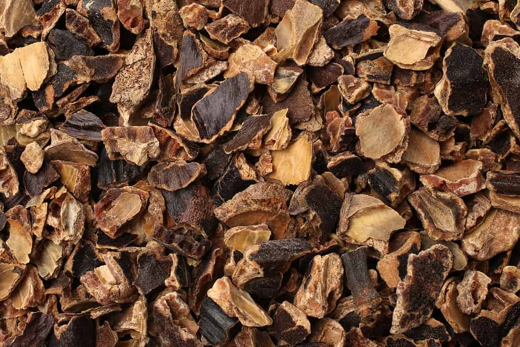 Raw carob kibble nibbles, for backgrounds or textures