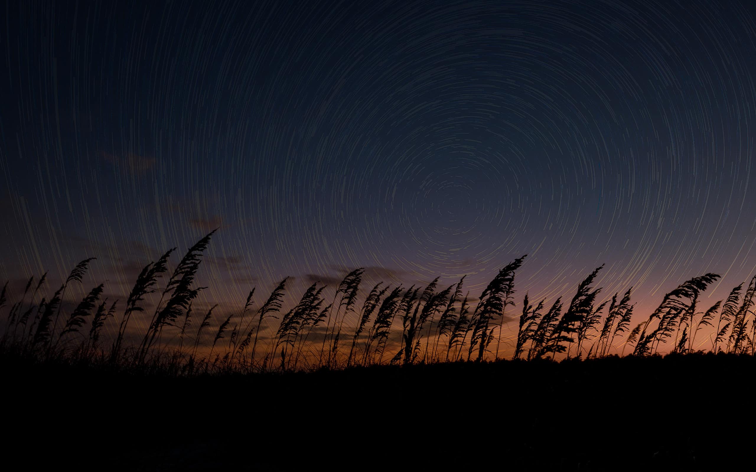 Beach sunset with star trails