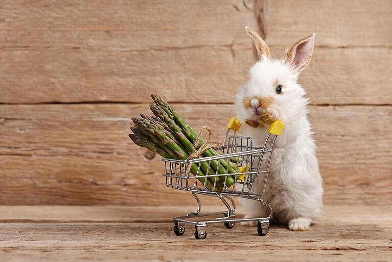 Bunny rabbit with asparagus shopping basket
