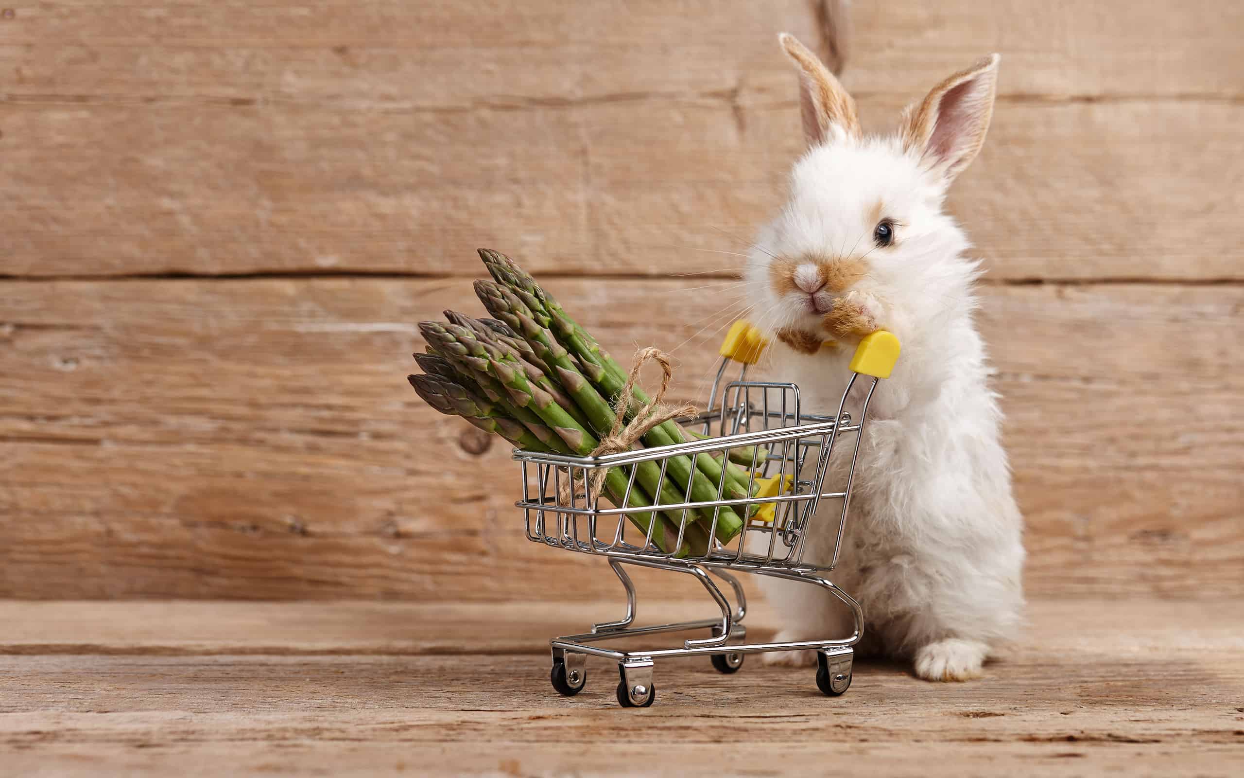 Yes, Rabbits Can Eat Asparagus! But Follow These 5 Tips AZ Animals
