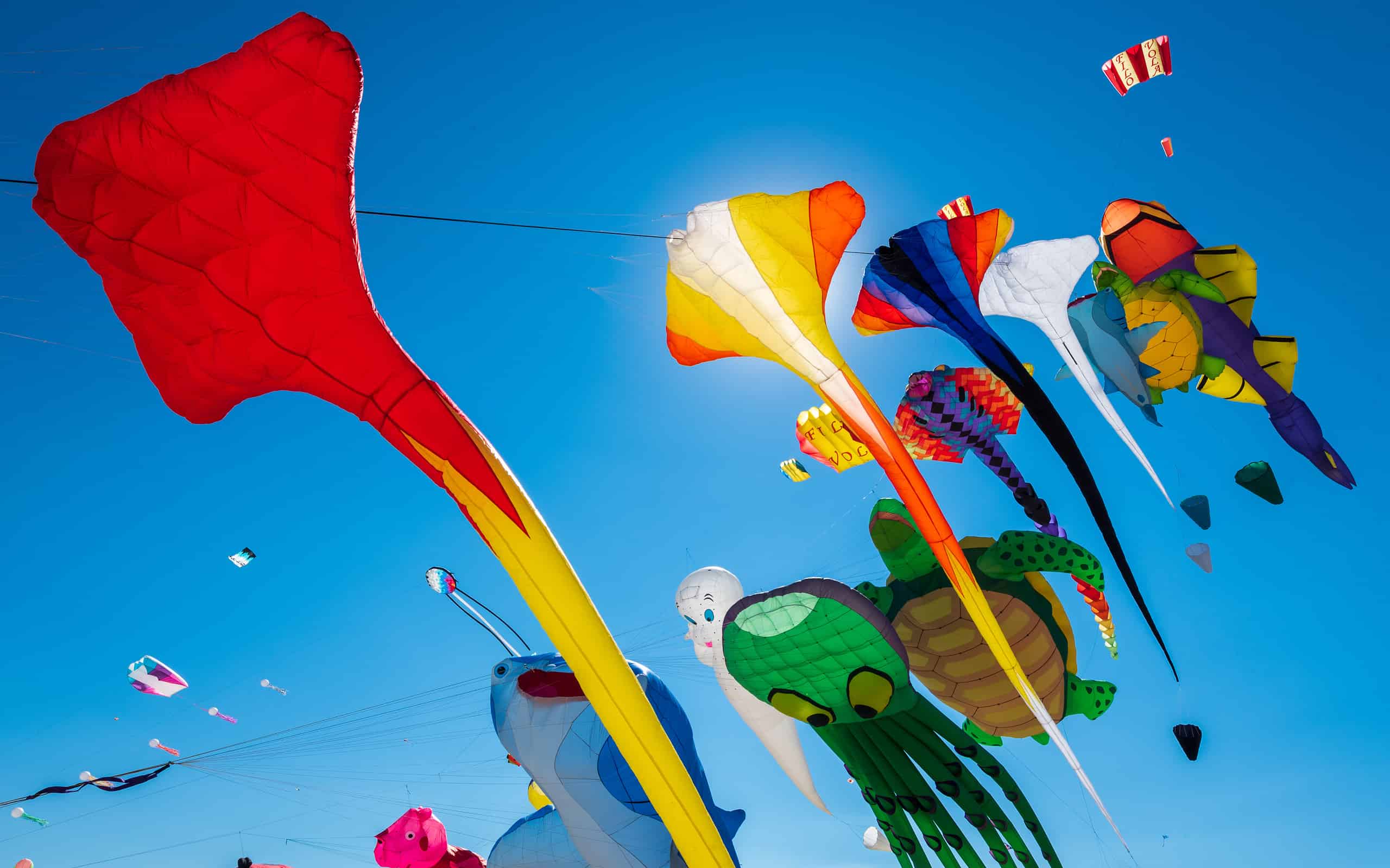 Clear blue sky with kites