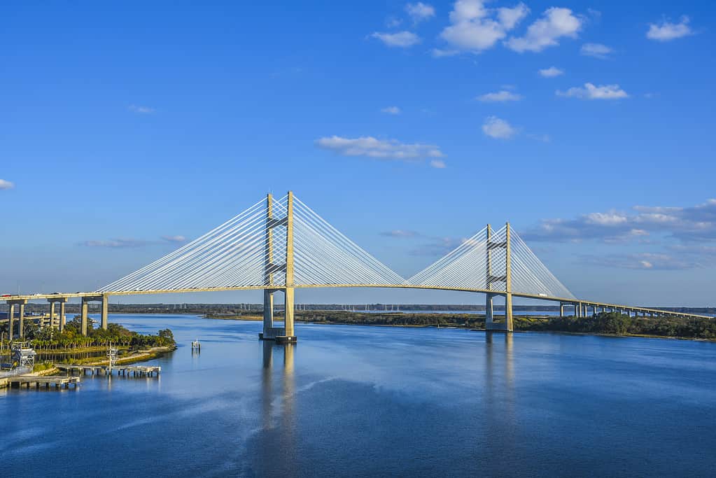 The Dames Point