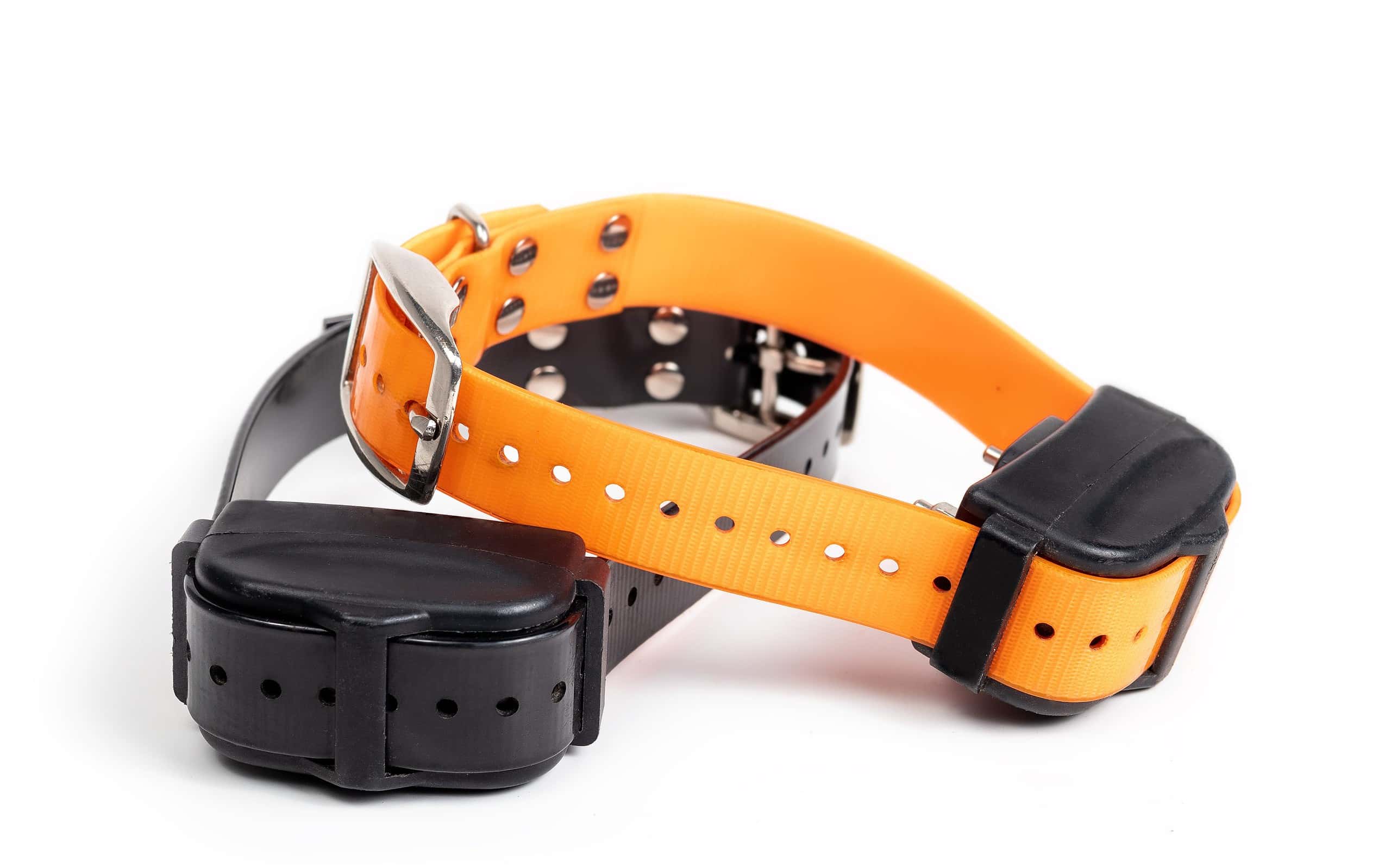 orange and black training shock collar for dogs on white background (no og in picture)