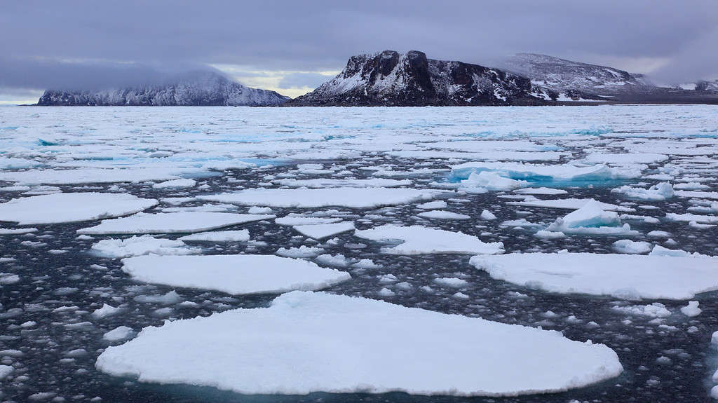 Sea ice is made of salt water while ice sheets are comprised of fresh water.