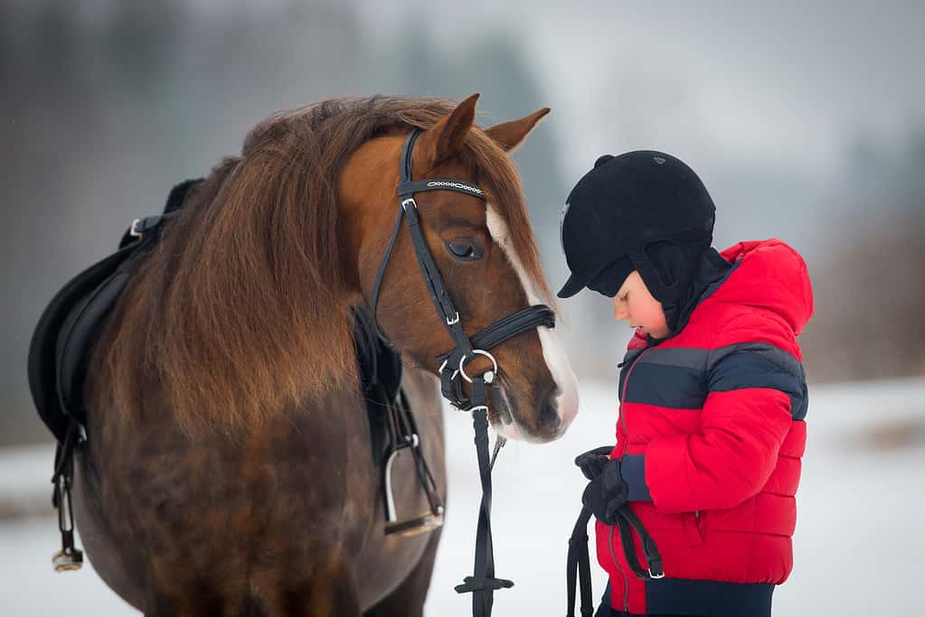 Equine therapy - Horse and boy - child riding horseback in winter