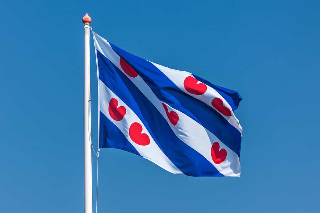 Dutch Frisian flag against a clear blue sky