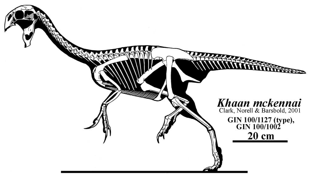Skeletal reconstruction of Khaan mckennai