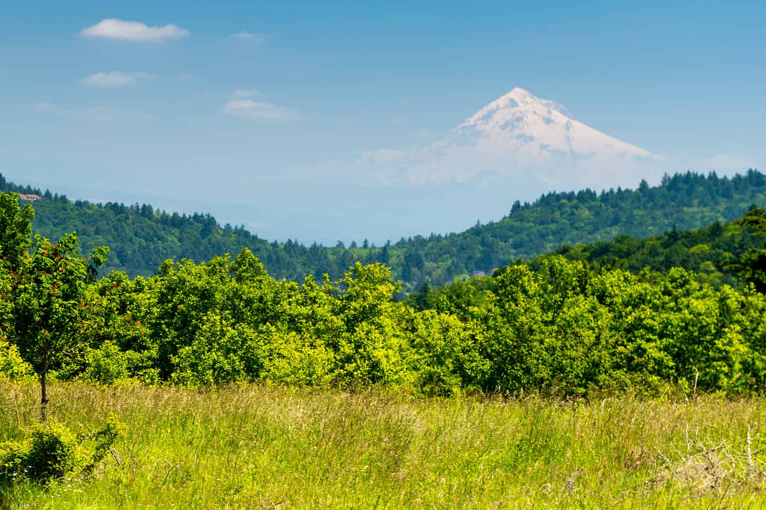 Places You're Most Likely to Encounter a Bear in Oregon This Winter - A ...