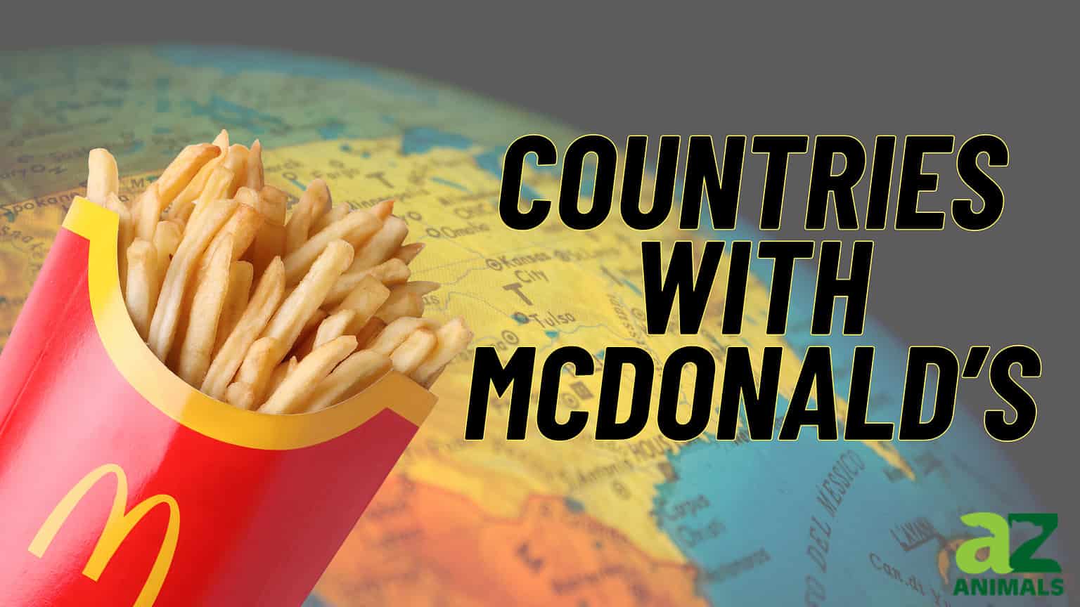 The 99 Countries That Have McDonald S In 2024 A Z Animals   Red Colorful Tips Youtube Thumbnail 10 1 1536x864 