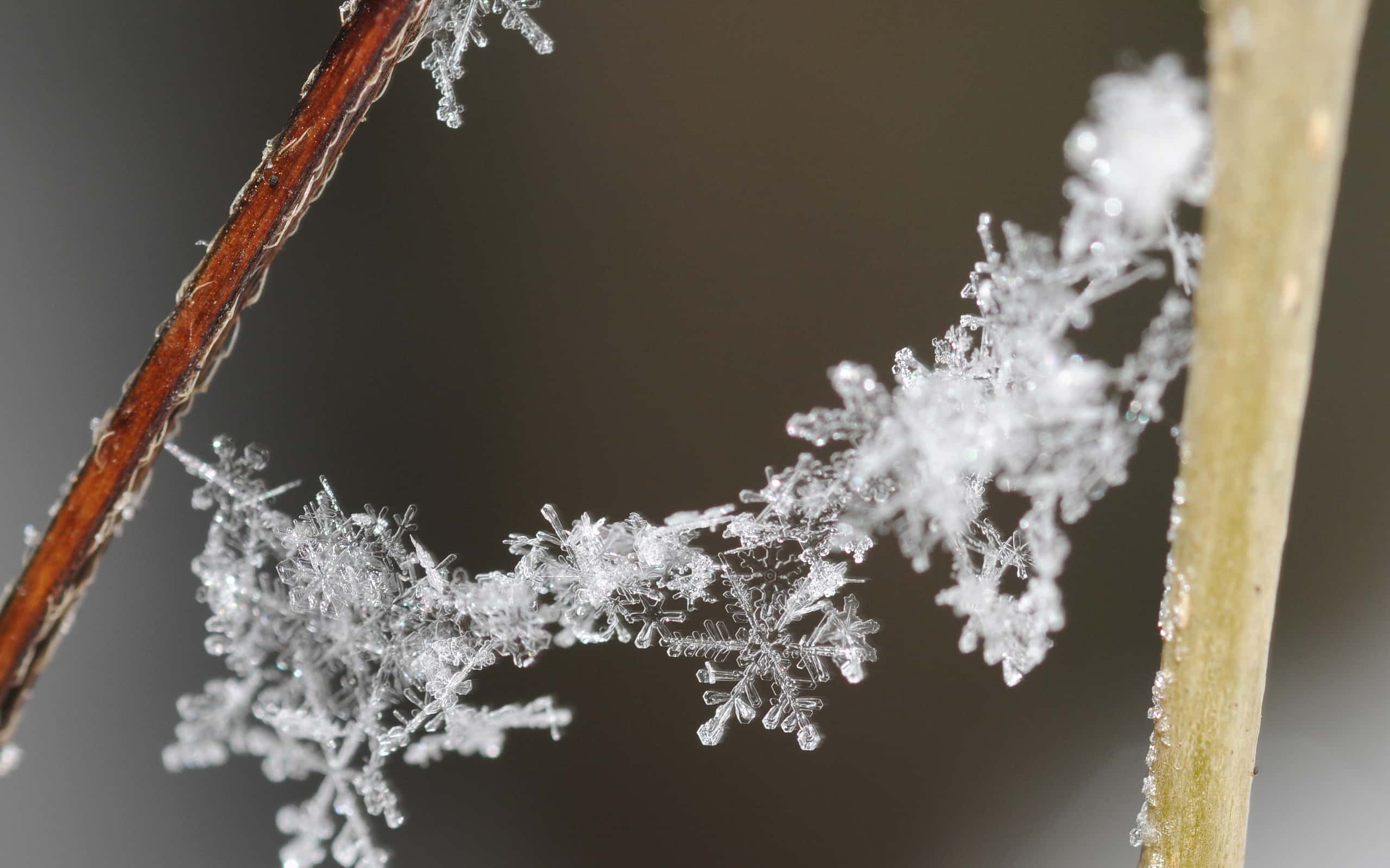 One of 18 Amazing Facts About Snowflakes: Several factors give them their unique shapes.