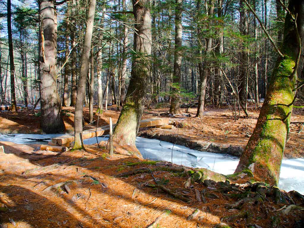 Mink Brook Nature Preserve New Hampshire