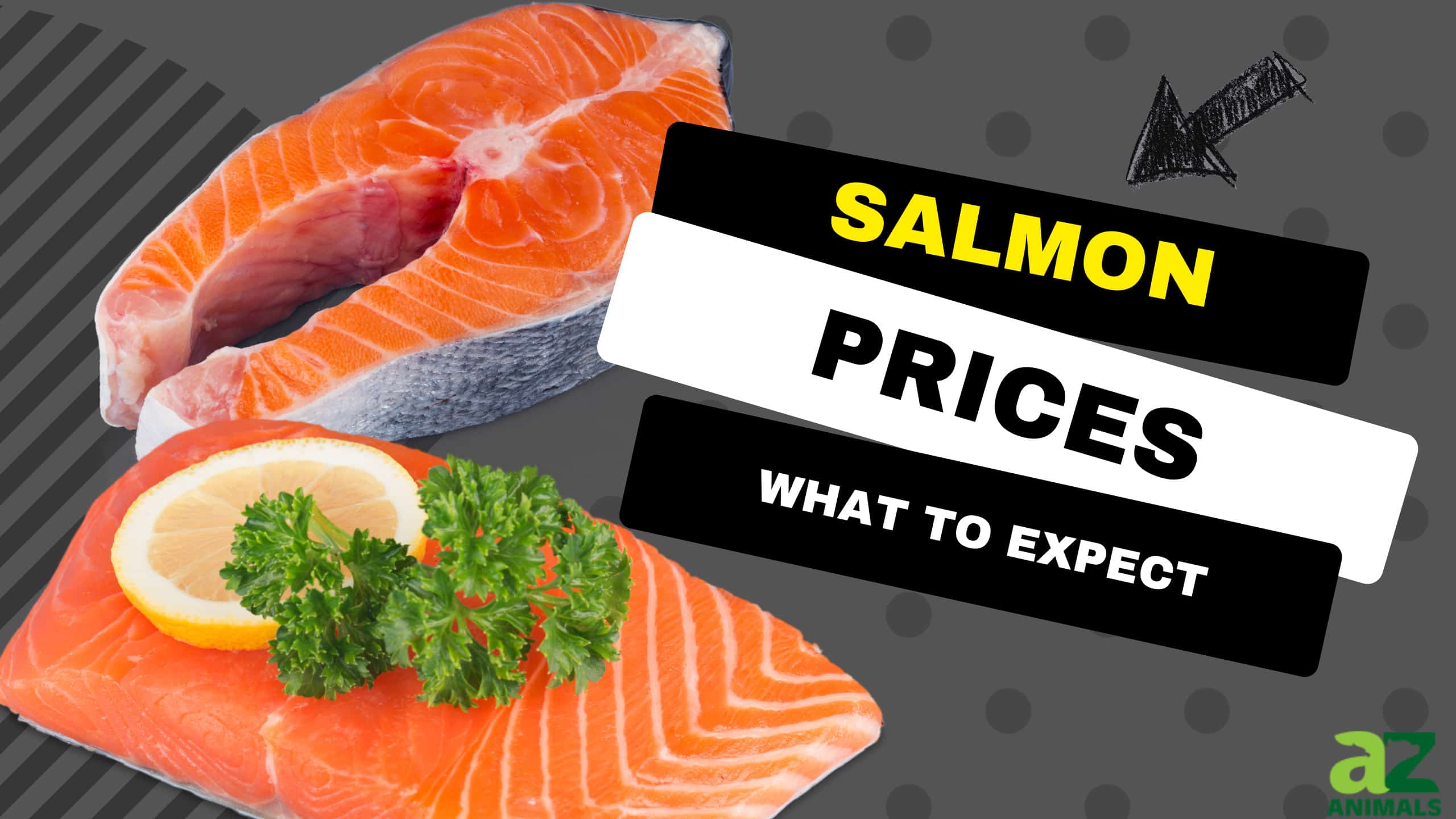 Salmon Prices