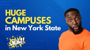 The 6 Most Sprawling College Campuses in New York State Are Mindbogglingly Huge Picture