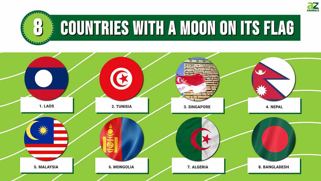 8 Countries With a Moon on Their Flag