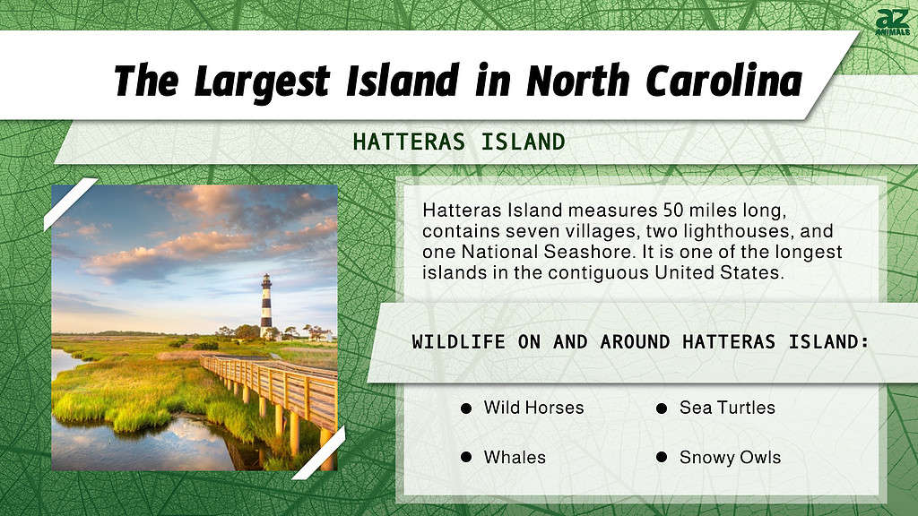 Hattaras Island, the Largest Island in North Carolina